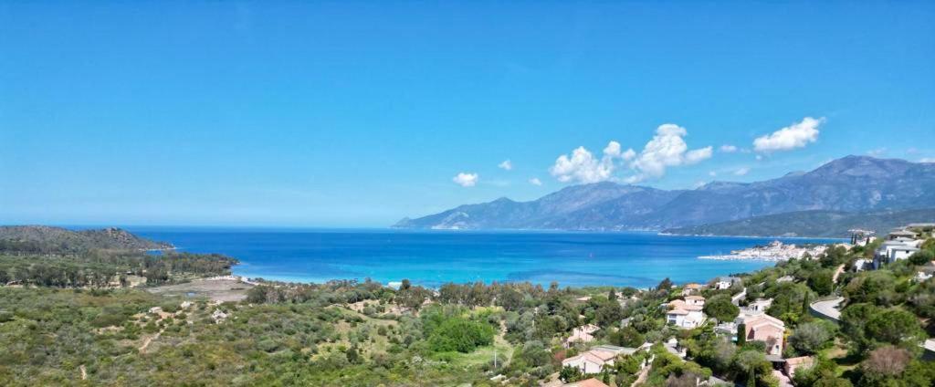 Studio, Vue Sur Mer Et Montagne Saint-Florent  Exteriör bild