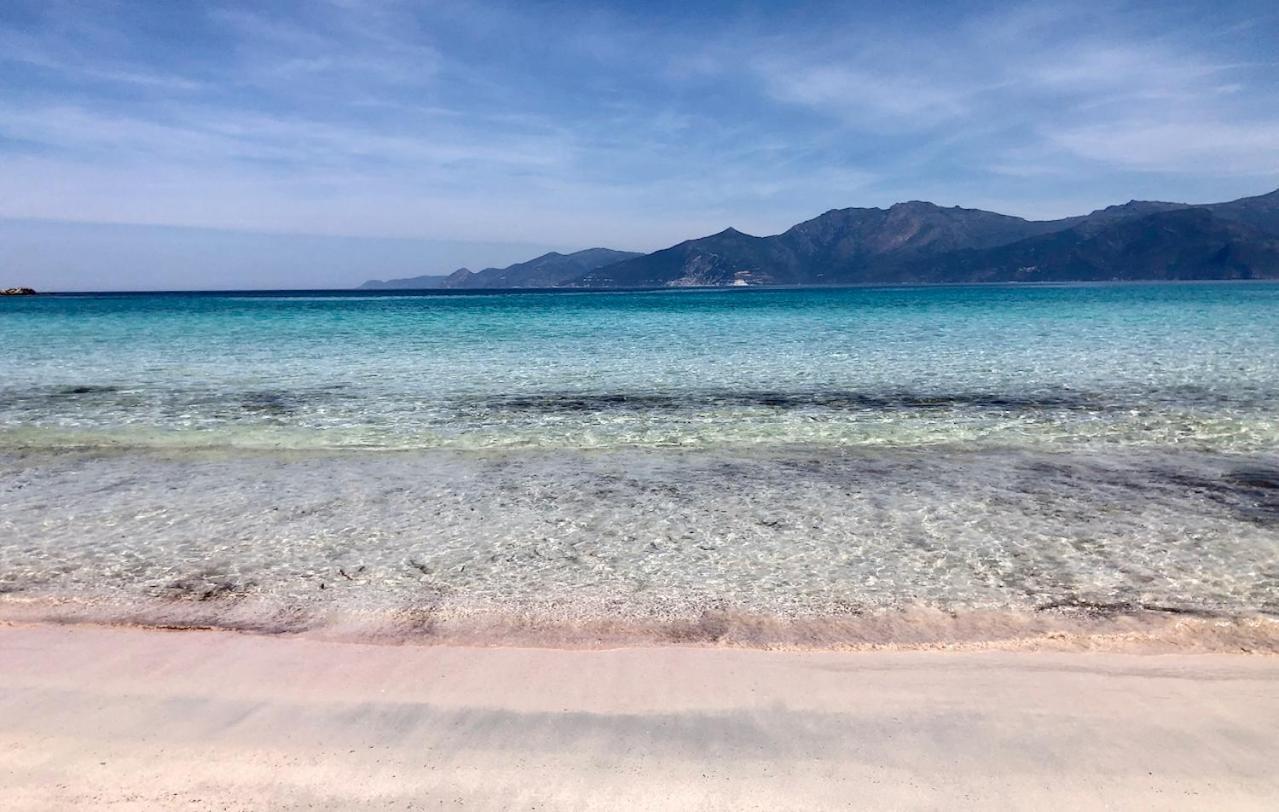 Studio, Vue Sur Mer Et Montagne Saint-Florent  Exteriör bild