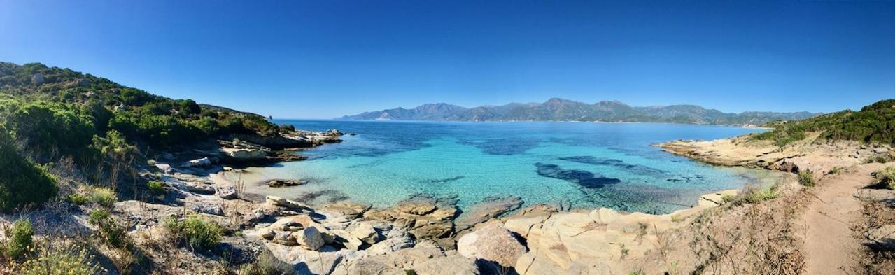 Studio, Vue Sur Mer Et Montagne Saint-Florent  Exteriör bild