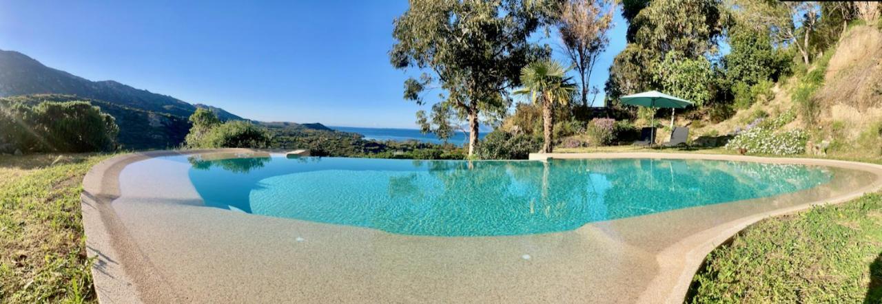 Studio, Vue Sur Mer Et Montagne Saint-Florent  Exteriör bild