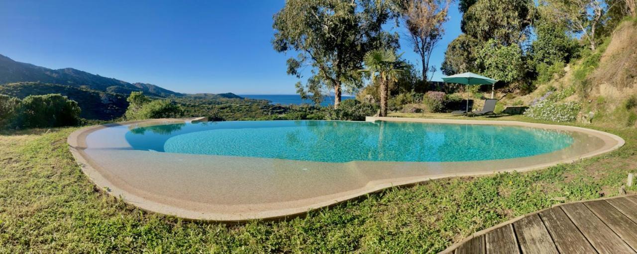 Studio, Vue Sur Mer Et Montagne Saint-Florent  Exteriör bild
