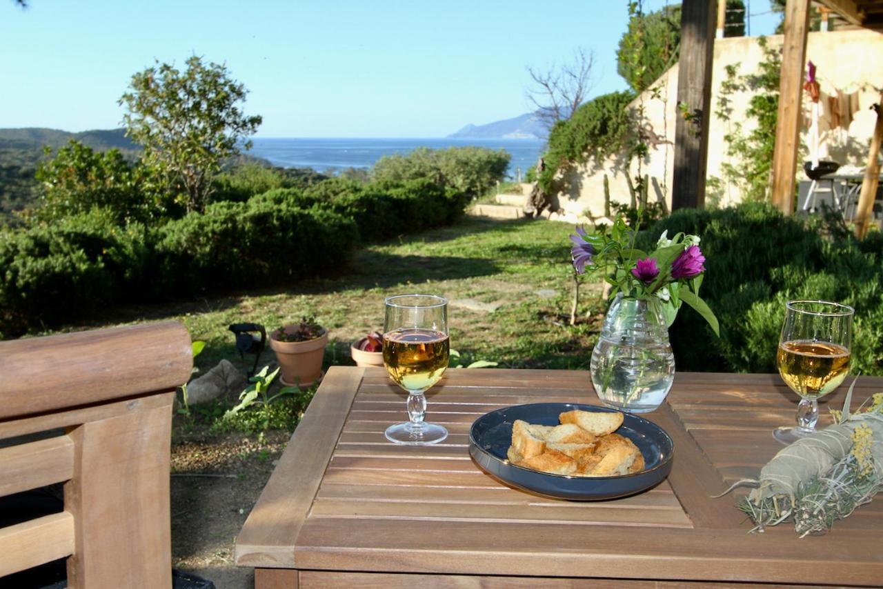 Studio, Vue Sur Mer Et Montagne Saint-Florent  Exteriör bild