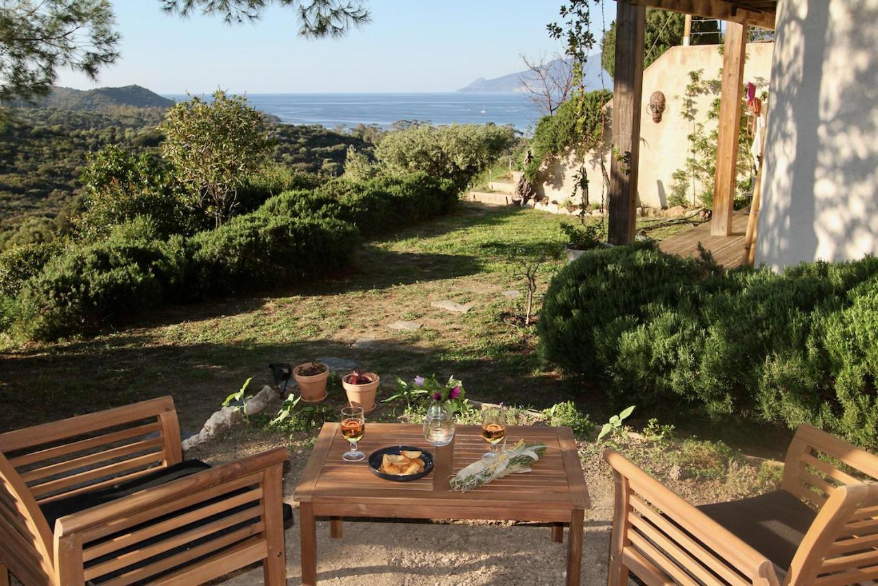 Studio, Vue Sur Mer Et Montagne Saint-Florent  Exteriör bild